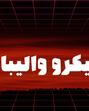 میکرو والیبال